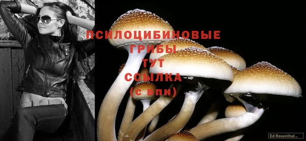 гидропоника Белоозёрский