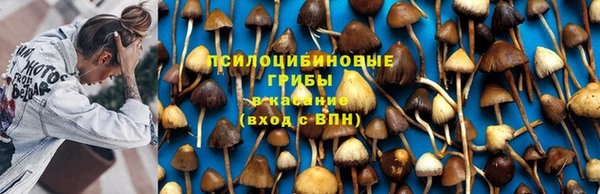гидропоника Белоозёрский