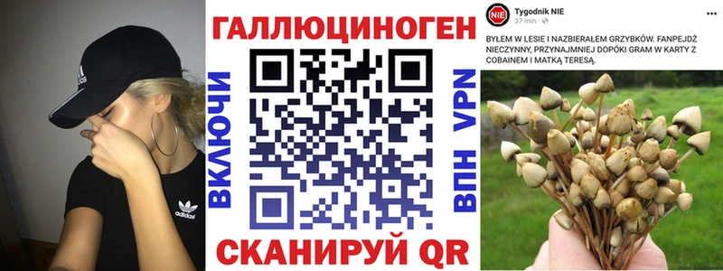 Псилоцибиновые грибы мухоморы Купить закладки Оренбург
